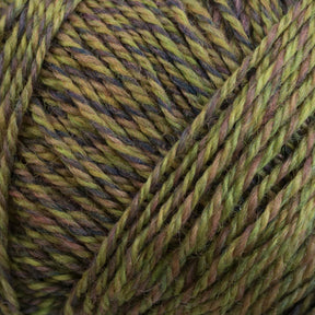 A close-up image of Knitting Fever Painted Desert Yarn, a super fine weight yarn by Knitting Fever / Euro Yarns. This multicolored yarn features a blend of green, brown, and yellow hues twisted together with long color changes, creating a variegated pattern. The strands are tightly wound, showcasing the texture and color transitions ideal for lightweight accessories.