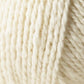 Close-up image of the Jo Sharp Silkroad DK Tweed by Kingfisher Yarn & Fibre, showcasing its soft, thick, and slightly textured fibers wound together in tight loops.