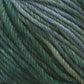 Close-up image of variegated Malabrigo Rios yarn by Malabrigo Yarn in shades of green and light blue. The fibers are tightly twisted, with a slightly shiny texture, showcasing a smooth and lustrous appearance. The kettle-dyed colors blend seamlessly, creating an intricate and visually pleasing pattern.