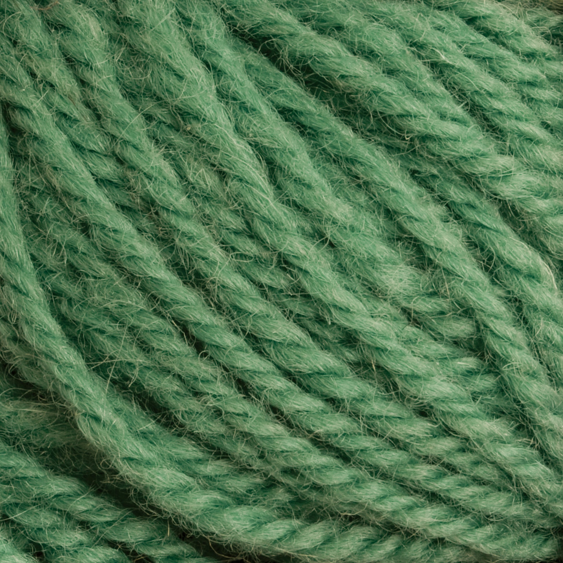 Close-up of several strands of Halcyon Deco Rug Wool, showcasing the texture and fibers of this material. The yarn, 100% wool from Caledonian Dye Works and thickly twisted, has a slightly fuzzy appearance. This versatile yarn boasts a solid, vibrant green color.