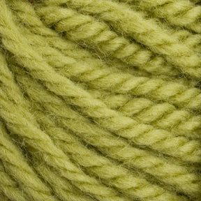 Close-up image of Halcyon Yarn Classic Rug Wool | Skein in a light green shade, twisted together to showcase the intricate texture and fibers. Crafted by Caledonian Dye Works, this high-quality yarn appears soft and thick, making it perfect for knitting or crocheting projects. Ideal for weavers aiming to create intricate patterns.