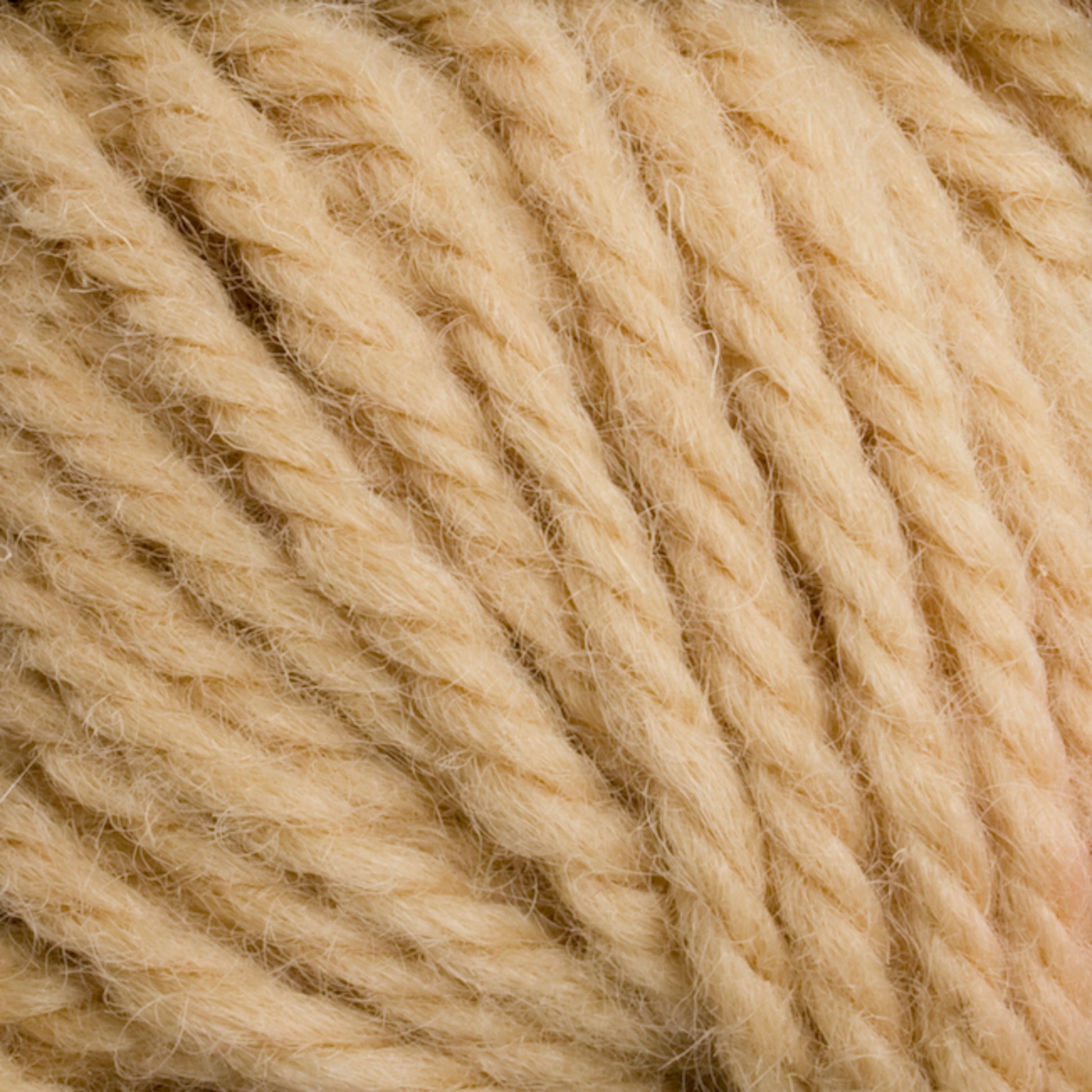 Close-up image of thick, beige yarn fibers twisted together, revealing a soft and fluffy texture. The tightly wound strands showcase their plump and cozy appearance—ideal for knitting or crocheting warm and comforting items. Perfect for rug weavers using Caledonian Dye Works' Halcyon Yarn Classic Rug Wool | Strand for that hand-dye look.