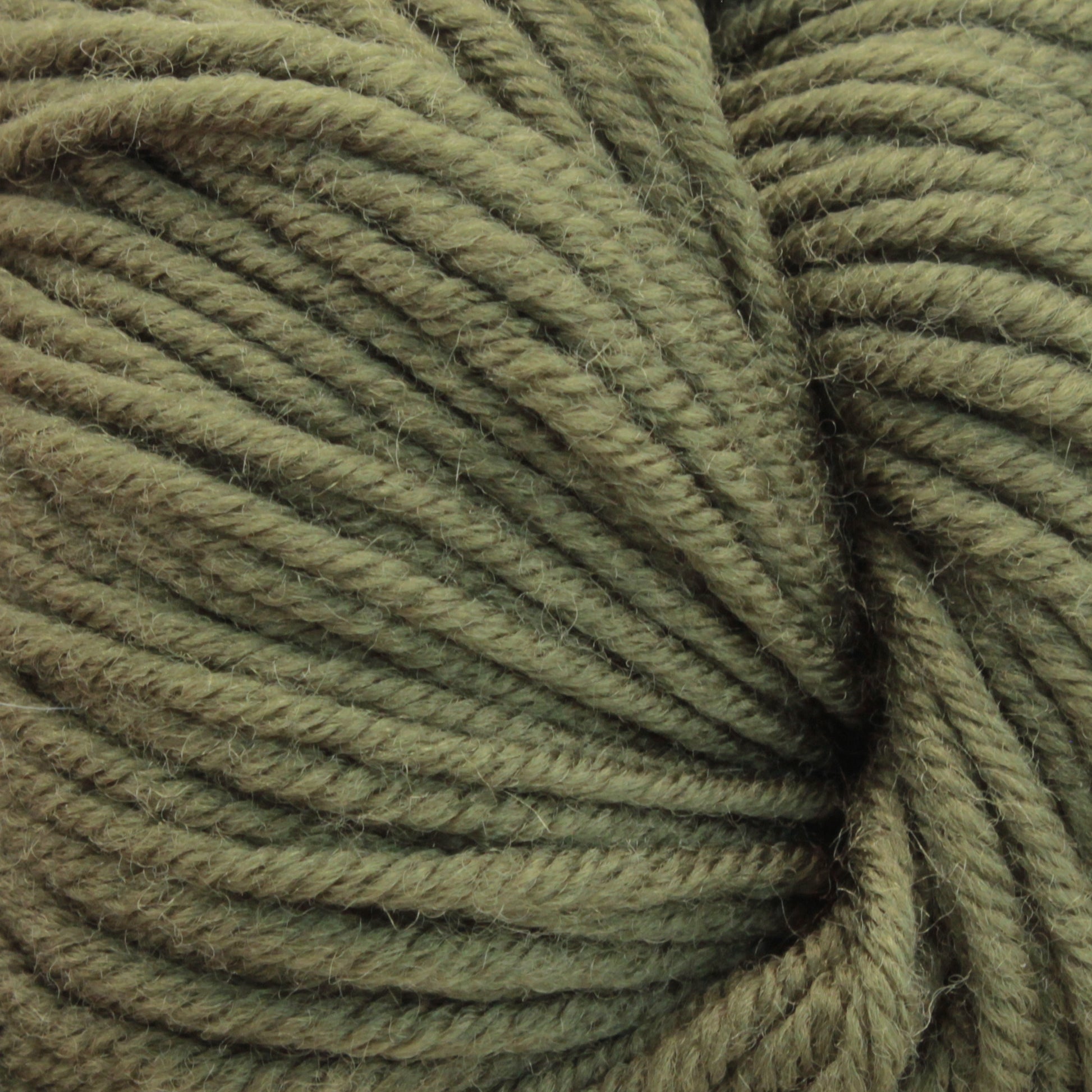 Close-up image of Plymouth Select Worsted Merino Superwash yarn by Plymouth Yarn Co., showcasing its tightly wound texture and soft, fibrous appearance. The green strands are uniformly twisted, providing excellent stitch definition and creating a detailed and tactile pattern.