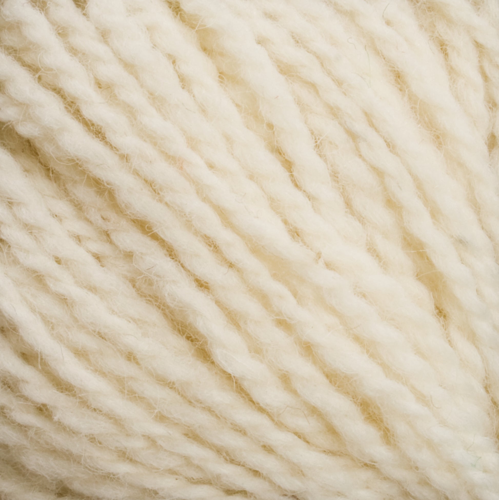 Close-up view of Harrisville Highland - Cones by Harrisville Designs, showcasing the soft, cream-colored unscoured yarn. The fibers are tightly twisted and glisten subtly with spinning oils, creating a textured appearance. This plush yarn is ideal for knitting or crocheting cozy garments or accessories.