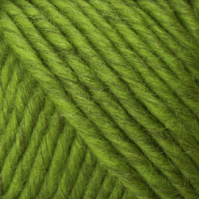 Close-up of tightly wound, vibrant green Lamb's Pride Bulky Yarn by Brown Sheep, showing the texture and details of the fibers. The yarn strands are arranged in a diagonal pattern, reminiscent of those found in woven blankets favored by knitters and crocheters.