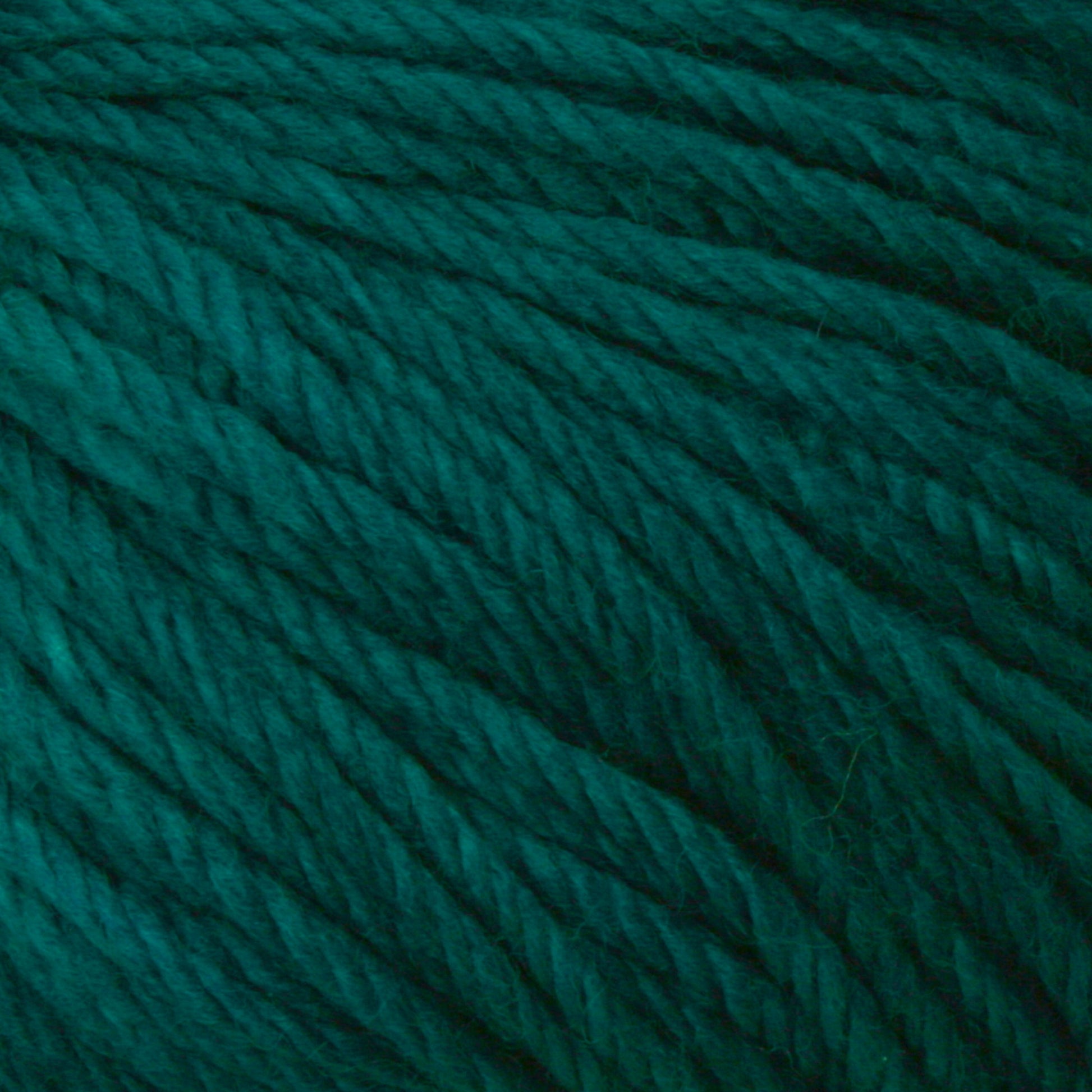 Close-up image of thick, teal-colored Malabrigo Rios yarn by Malabrigo Yarn. The yarn is twisted and appears soft with a slightly fuzzy texture, showing the individual strands and fibers that make up the skein. The rich, vibrant color dominates the image.