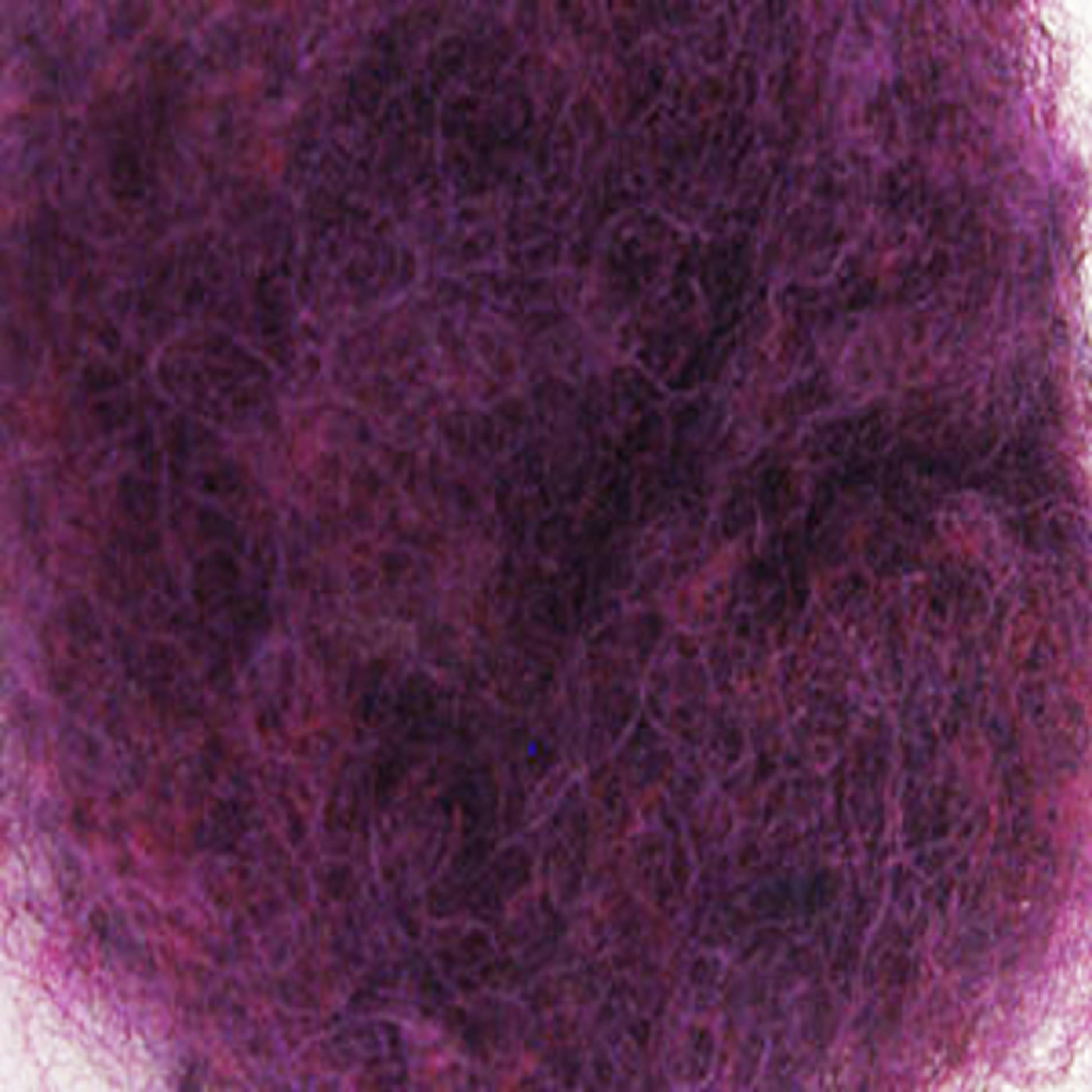 A close-up image of a textured purple felt surface. The fibers, densely packed with Harrisville Dyed & Carded Wool Fiber from Harrisville Designs, create a colorful and fuzzy appearance. The heathered colors of purple vary slightly throughout the felt, giving it a rich and vibrant look.