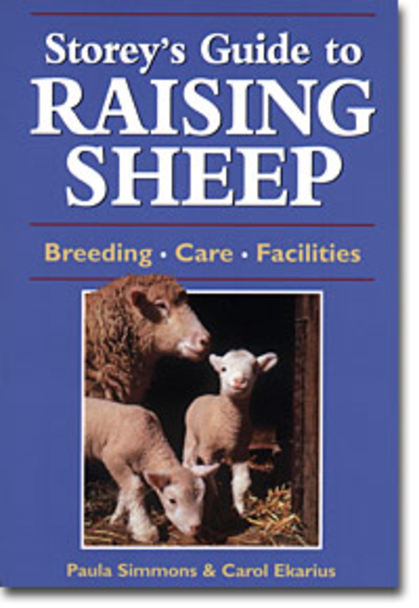 Cover of the book "Storey's Guide to Raising Sheep (Revised Edition)" by Paula Simmons and Carol Ekarius, published by Workman Publishing - Storey. The cover is blue with a photo of an adult sheep and two lambs in a barn—a perfect read for new sheep handlers seeking a comprehensive guide to smaller-scale sheep care.