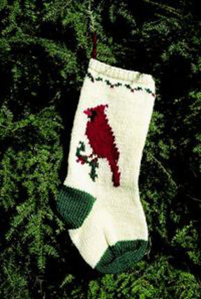 A Maine Christmas Stocking Kit from Bully Woolies hangs against a backdrop of green foliage. The white stocking, crafted from Maine spun wool, showcases an intricate design featuring a knitted red cardinal perched on a branch with green leaves and red berries. The stocking is accented with green on the toe and heel.