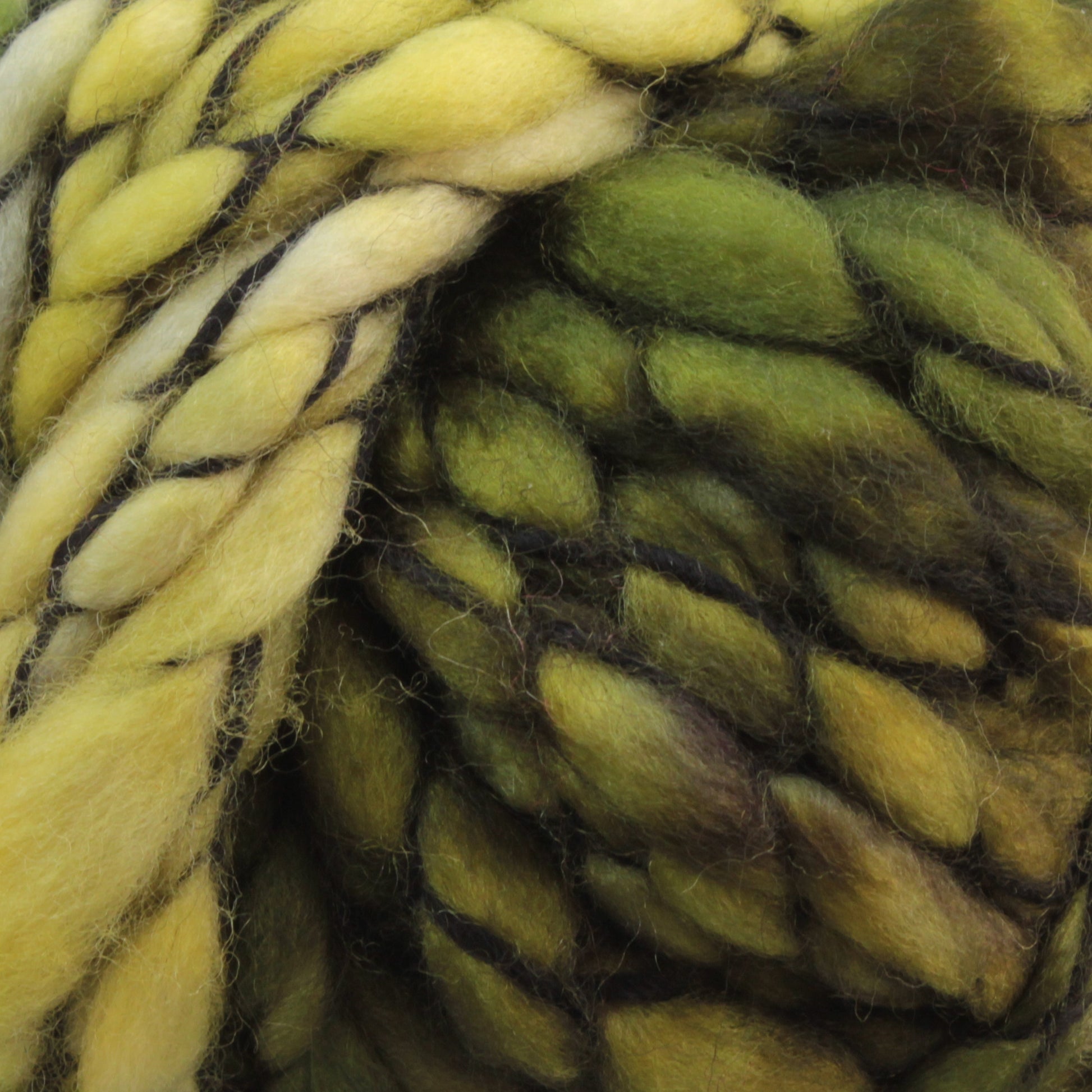 Close-up image of the thick, twisted Malabrigo Caracol yarn in shades of yellow and green with dark accents. The kettle-dyed Malabrigo Yarn has a soft, fluffy texture and appears tightly woven.