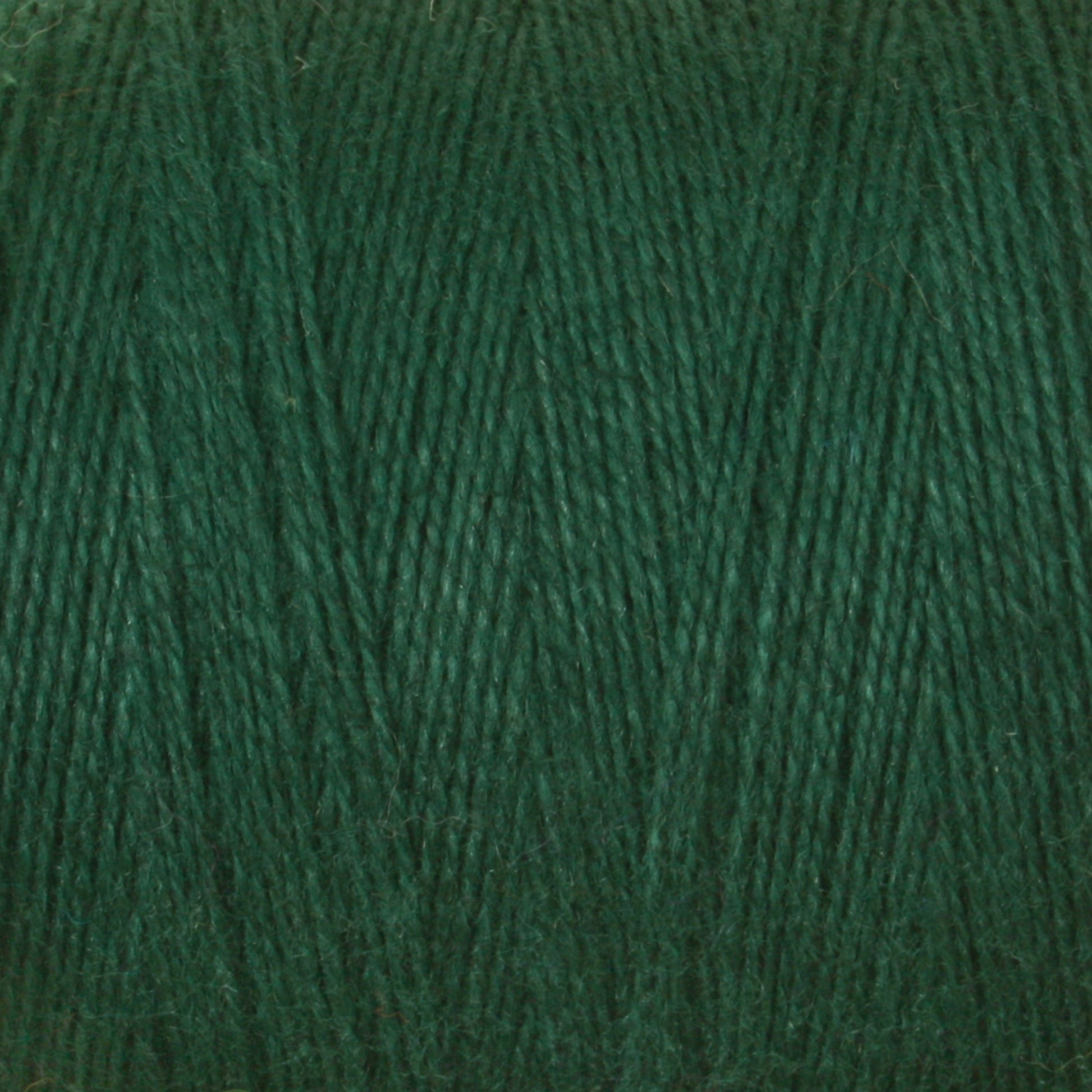 Close-up view of a spool of Maurice Brassard's 8/2 Cottolin Organic Yarn in dark green. The texture and fibers are clearly visible, highlighting its soft and slightly fuzzy appearance. Perfect for the Cottolin Tea Towel Kit, the yarn is tightly wound in a uniform pattern, making it ideal for crafting durable and beautiful tea towels.