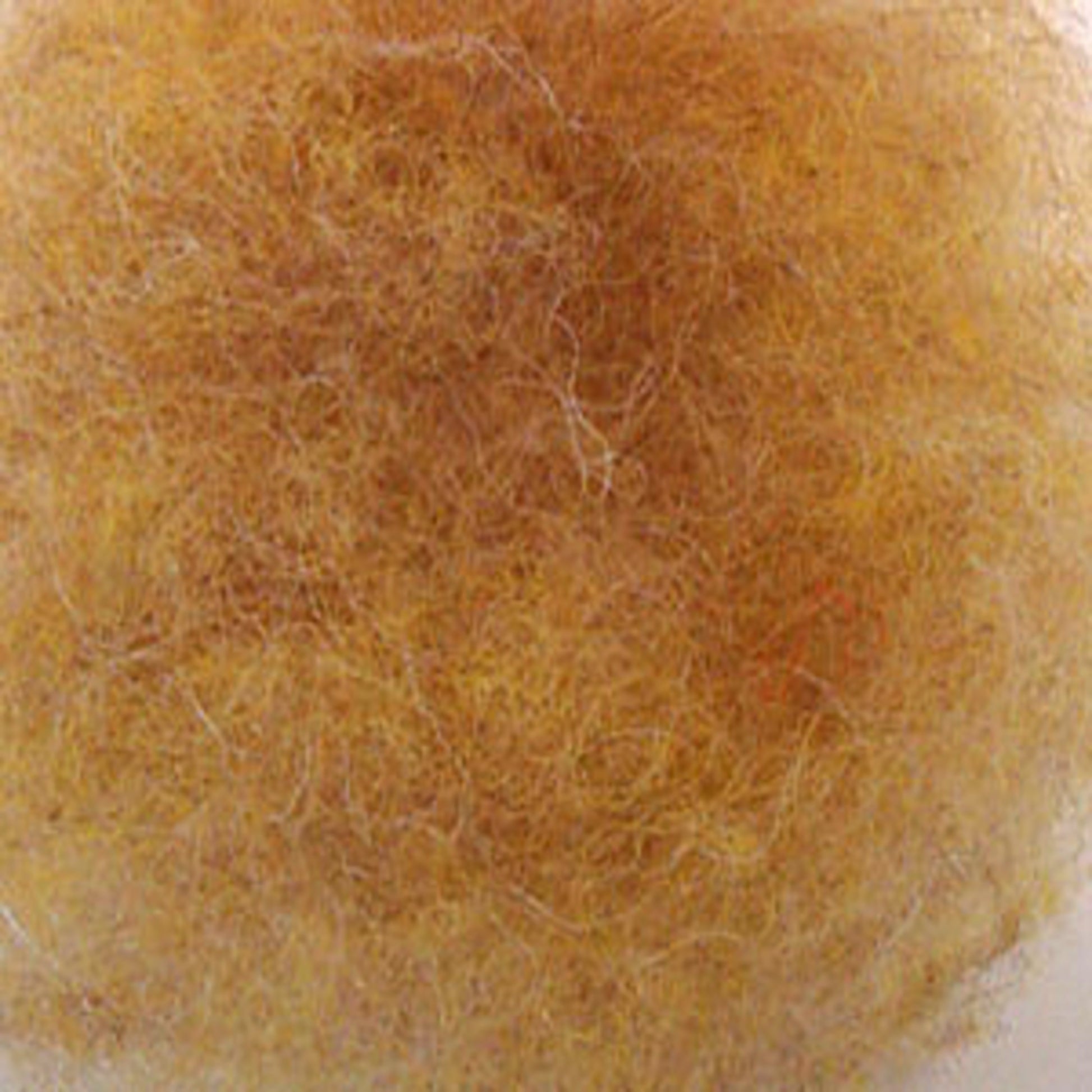 A close-up image showing a cluster of matted and tangled fur, primarily in shades of light brown and beige, reminiscent of Harrisville Dyed & Carded Wool Fiber by Harrisville Designs, with a few stray hairs sticking out in various directions.