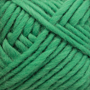 Close-up image of Lamb's Pride Bulky Yarn by Brown Sheep in a vibrant green color, tightly wound into a skein. The yarn showcases a soft, fuzzy texture with interwoven strands and appears thick, ideal for knitting or crocheting cozy Icelandic sweaters.