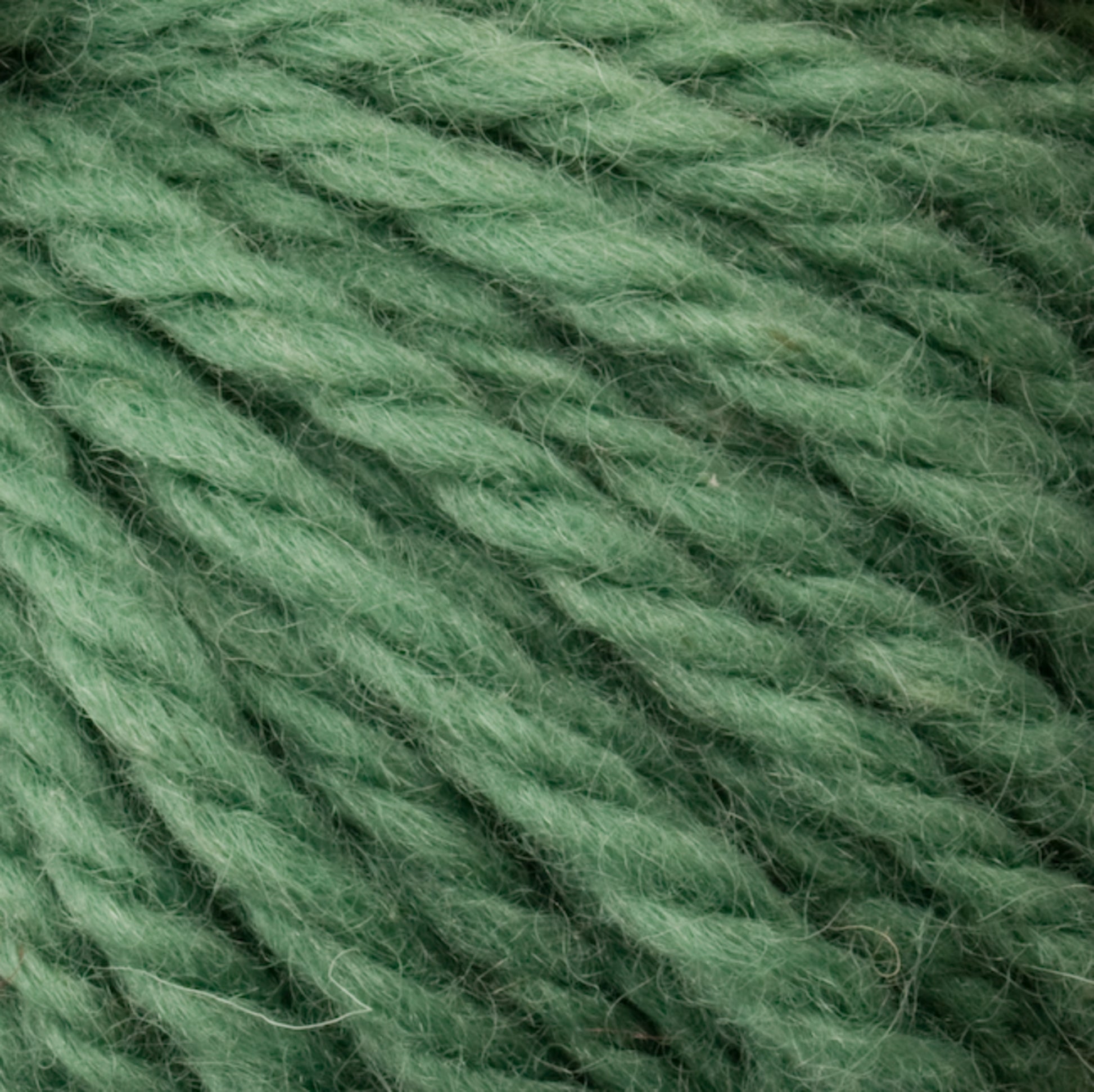 Close-up of Halcyon Yarn Classic Rug Wool | Strand by Caledonian Dye Works, showcasing the soft and fuzzy texture with slight variations in shades of green. The yarn is thick and twisted, emphasizing its cozy and plush nature ideal for knitting or crafting projects by rug weavers.