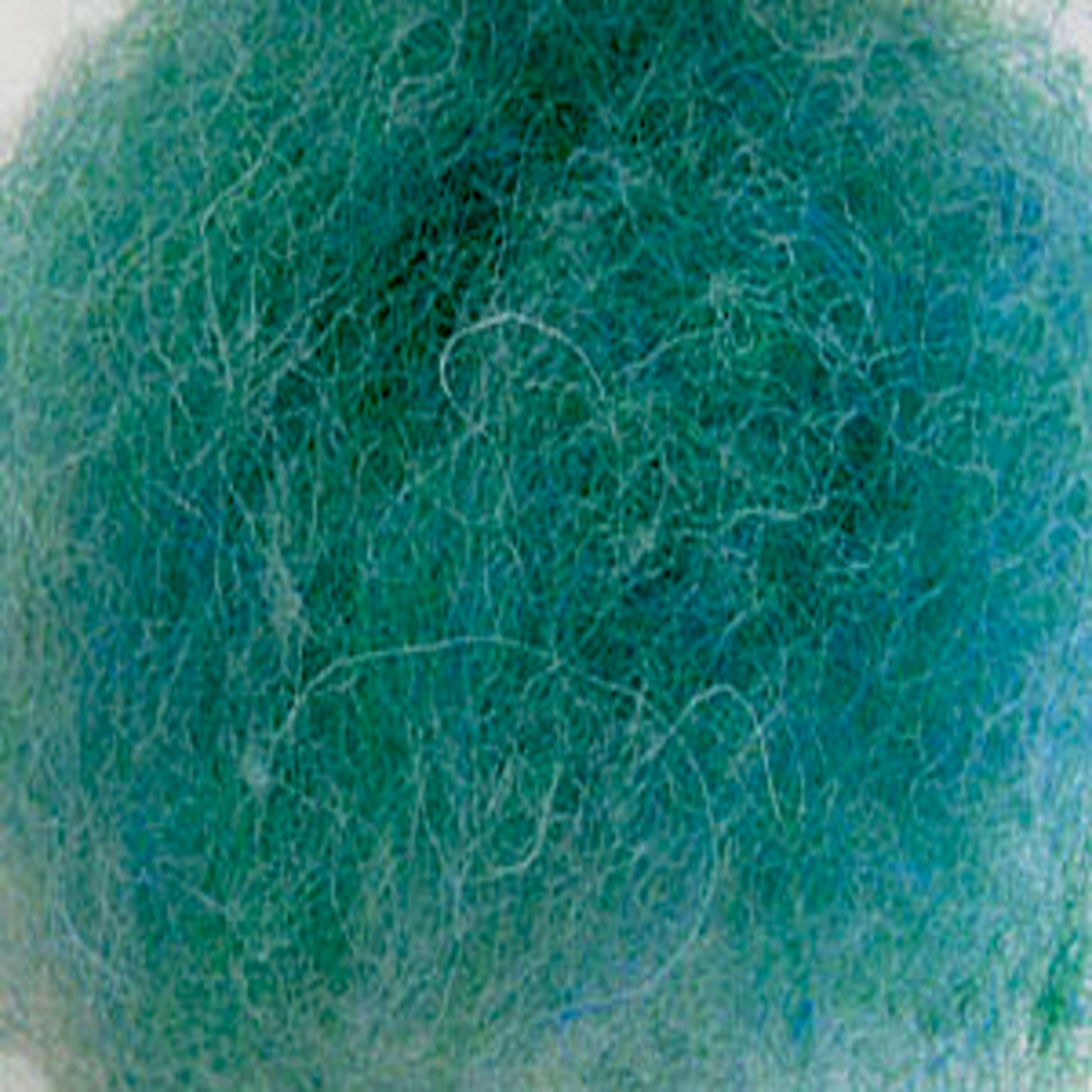 A close-up image of Harrisville Dyed & Carded Wool Fiber from Harrisville Designs, featuring a tangled ball of green and blue fibers with a slightly matted texture. The heathered colors are interwoven to create a mixture of shades and an overall fuzzy appearance, reminiscent of felting wool.