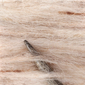 Close-up of a wooden knitting needle inserted into Berroco, Inc.'s Plötulopi Unspun Icelandic Wool Yarn. The light-colored, fuzzy wool features various shades of cream and beige, creating a soft and textured appearance.