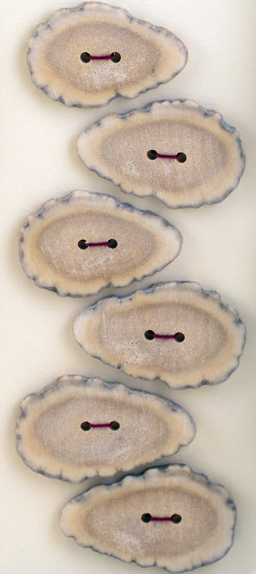 Six oblong slices of local wood buttons from Favour Valley Woodworking, each featuring two holes, arranged diagonally and stitched together with pink thread. The wood slices display a gradient of light brown to grey edges. They are set against a plain off-white surface, emphasizing their handcrafted charm.