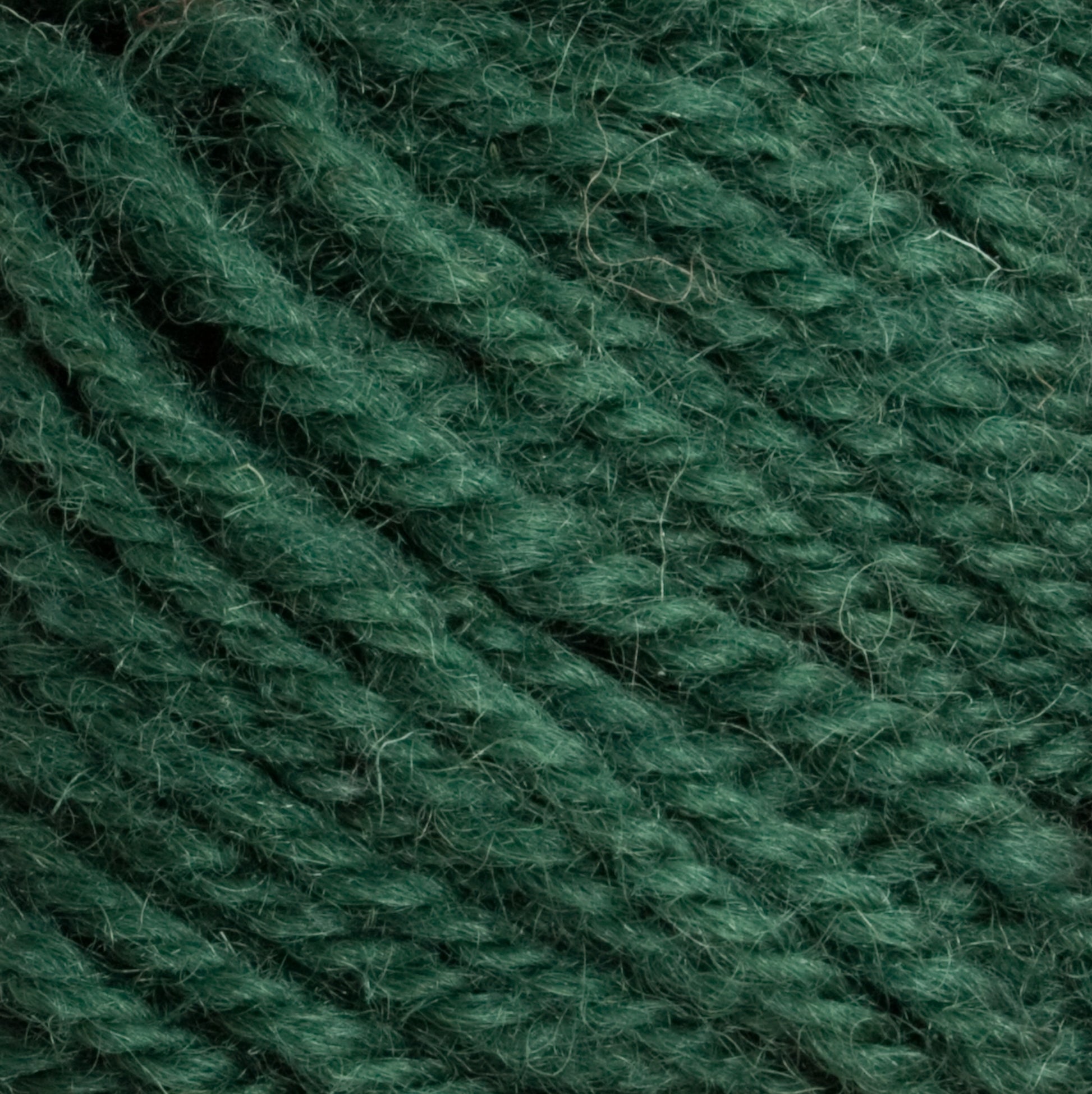 Close-up view of Halcyon Deco Rug Wool by Caledonian Dye Works, showcasing its fibrous texture and tightly twisted strands. This versatile dark green yarn appears soft and slightly fuzzy, making it suitable for knitting or crocheting projects. Plus, it's 100% wool, ensuring durability and warmth for any creation.