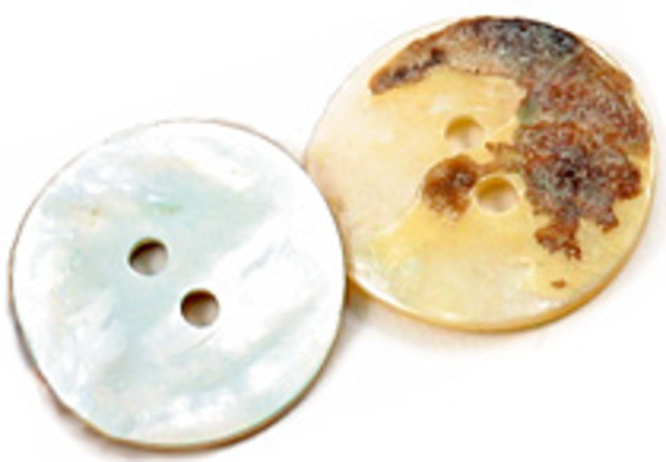 A close-up image of two round, Natural Pearl Shell Buttons from Dill Buttons of America, Inc., each featuring two holes. The button on the left is smooth and pearly white, while the button on the right is partially discolored with a rough brown patch on its top-right side. Both buttons boast a shiny surface and natural shell origins.