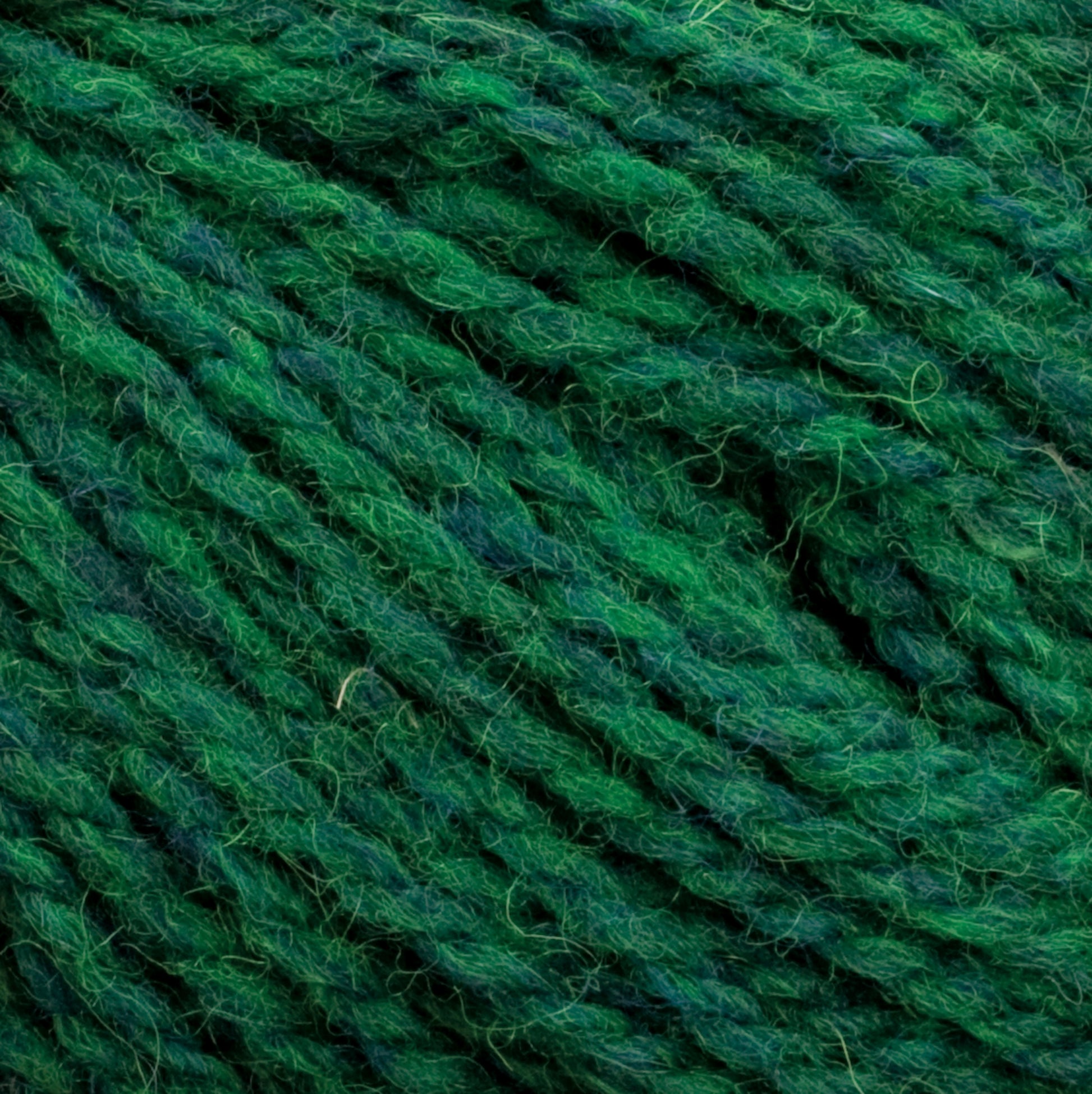 Close-up image of green Harrisville Highland - Cones yarn from Harrisville Designs, featuring various shades that showcase its texture and intertwined fibers. The slightly fuzzy appearance, enhanced by spinning oils, adds depth and richness to the green coloration.