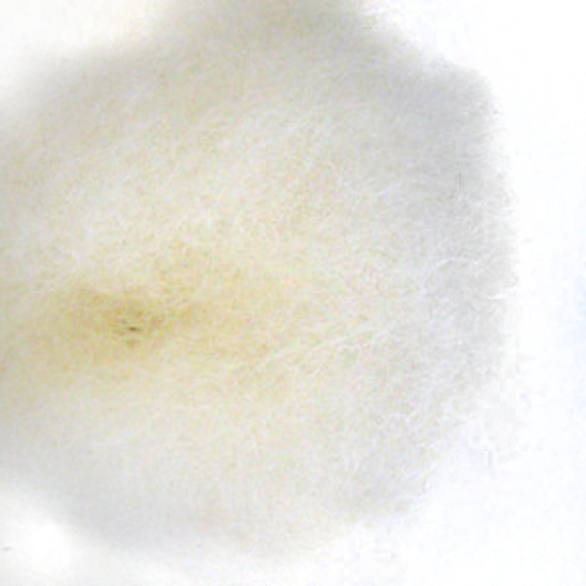 A close-up image of a floating dandelion seed head on a white background, displaying its delicate, fluffy, and wispy structure. The seed head appears almost like a tuft of Harrisville Designs' Harrisville Dyed & Carded Wool Fiber with heathered colors, soft and light.