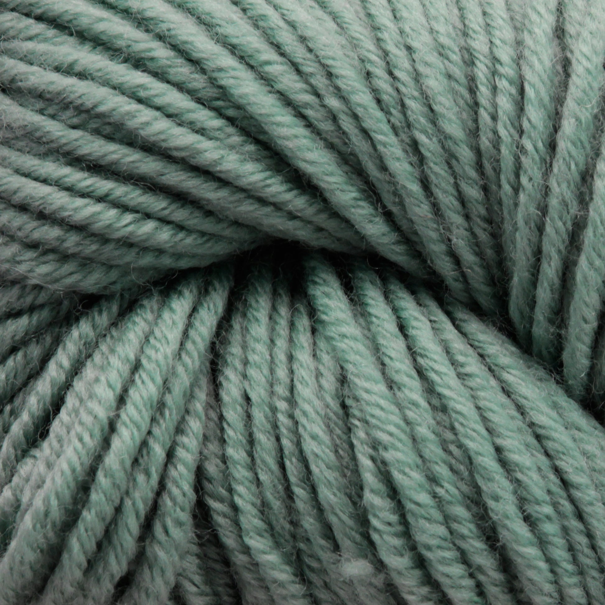 A close-up image of soft, thick, mint green yarn. The Plymouth Select Worsted Merino Superwash from Plymouth Yarn Co. is tightly wound, showcasing its fibrous texture and even twist. The color is consistent throughout, appearing plush and ideal for knitting or crocheting cozy garments with excellent stitch definition.