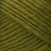 Close-up view of green Lamb's Pride Worsted Yarn by Brown Sheep, showcasing a tightly spun fiber with a subtle fuzziness. The yarn features a smooth texture with diagonal grooves and is uniformly colored, offering a rich, moss green appearance—perfect for felting projects or Navajo style weaving.