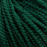 Caledonian Dye Works Yarn Pine Green Norumbega