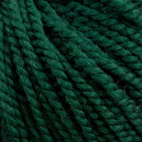 Caledonian Dye Works Yarn Pine Green Norumbega