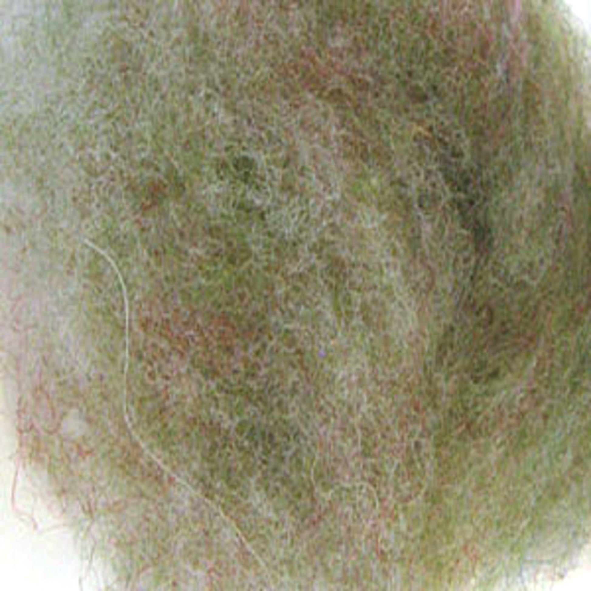 Harrisville Designs Dyed Wool Fiber Jade Harrisville Dyed & Carded Wool Fiber