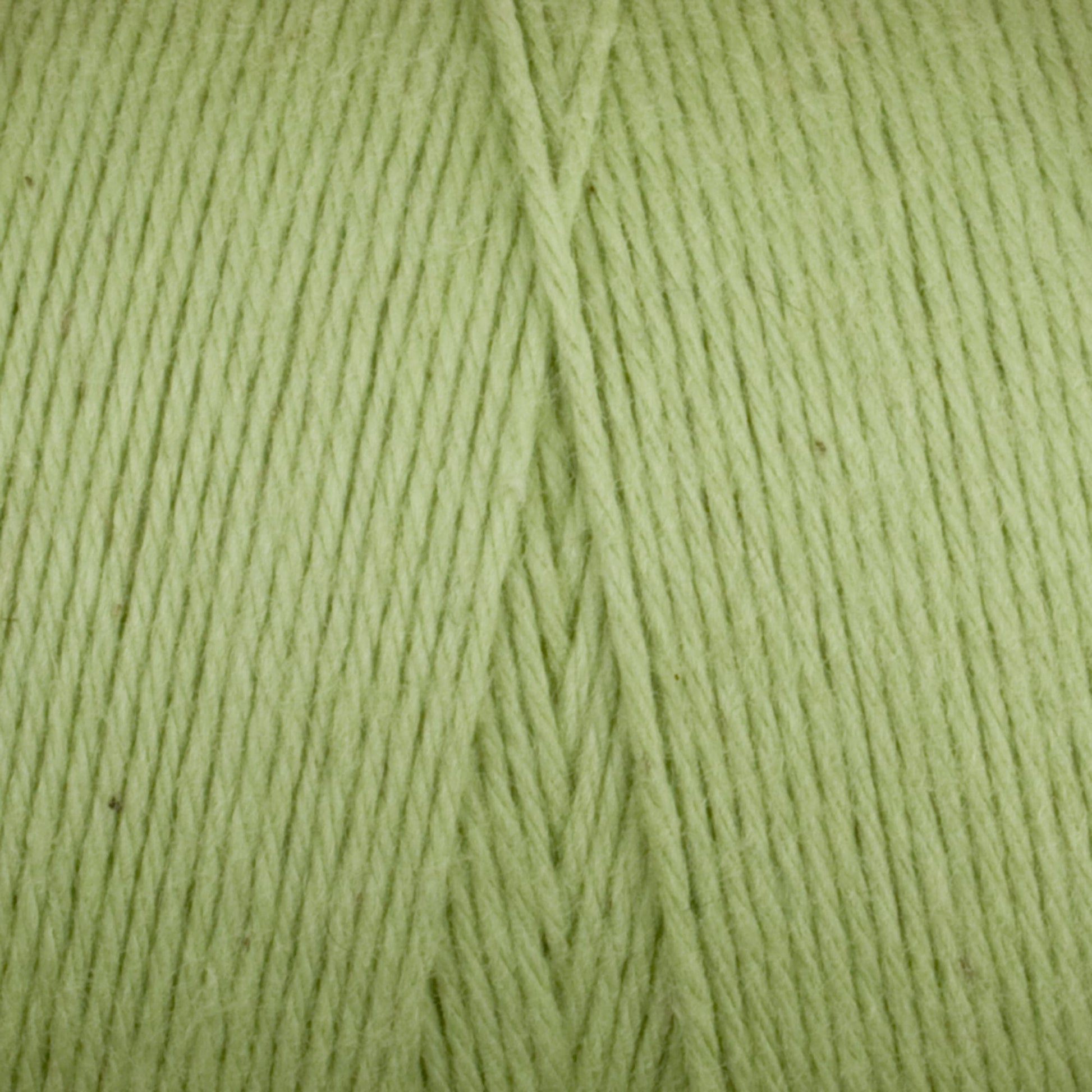 Maurice Brassard Yarn Lime Cotton 8/8 Carpet Warp