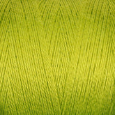 Maurice Brassard Yarn Limette Pâle 8/2 Bamboo Yarn | Mini-cone