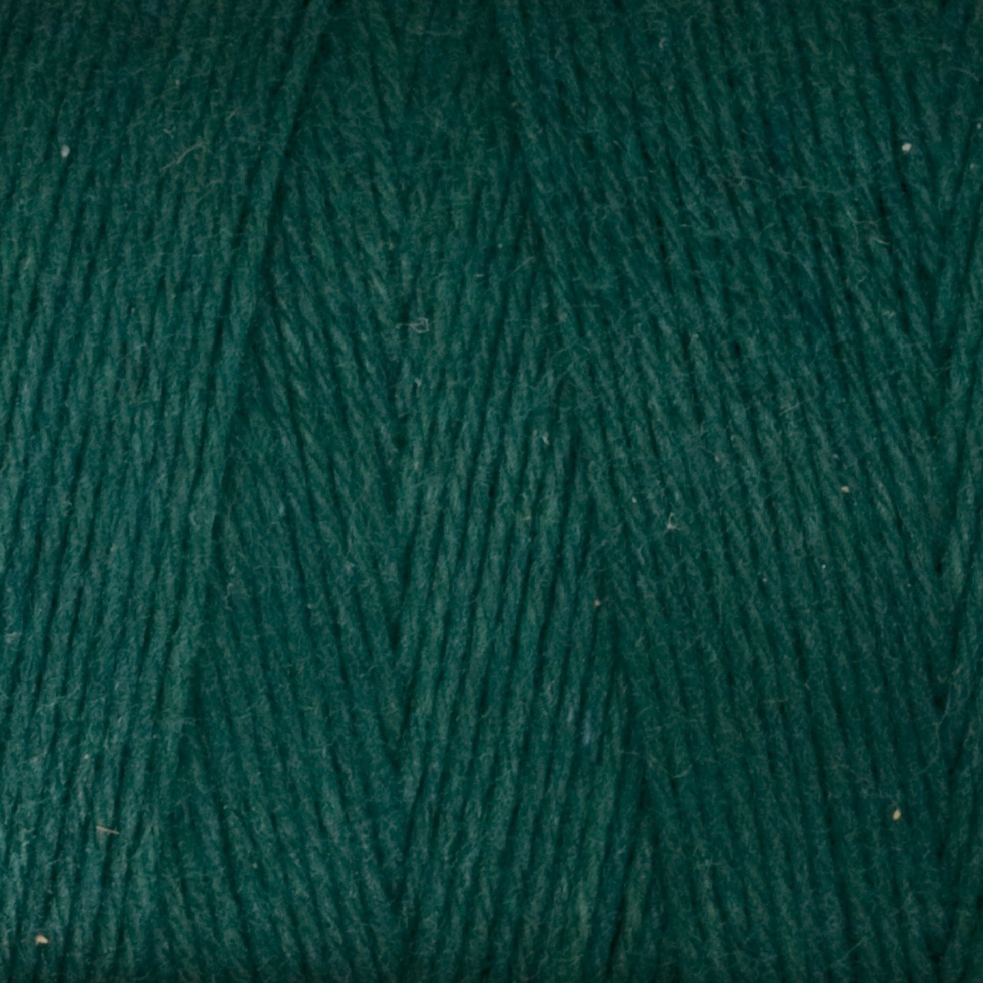 Maurice Brassard Yarn Vert Foncé Cotton 8/8 Carpet Warp