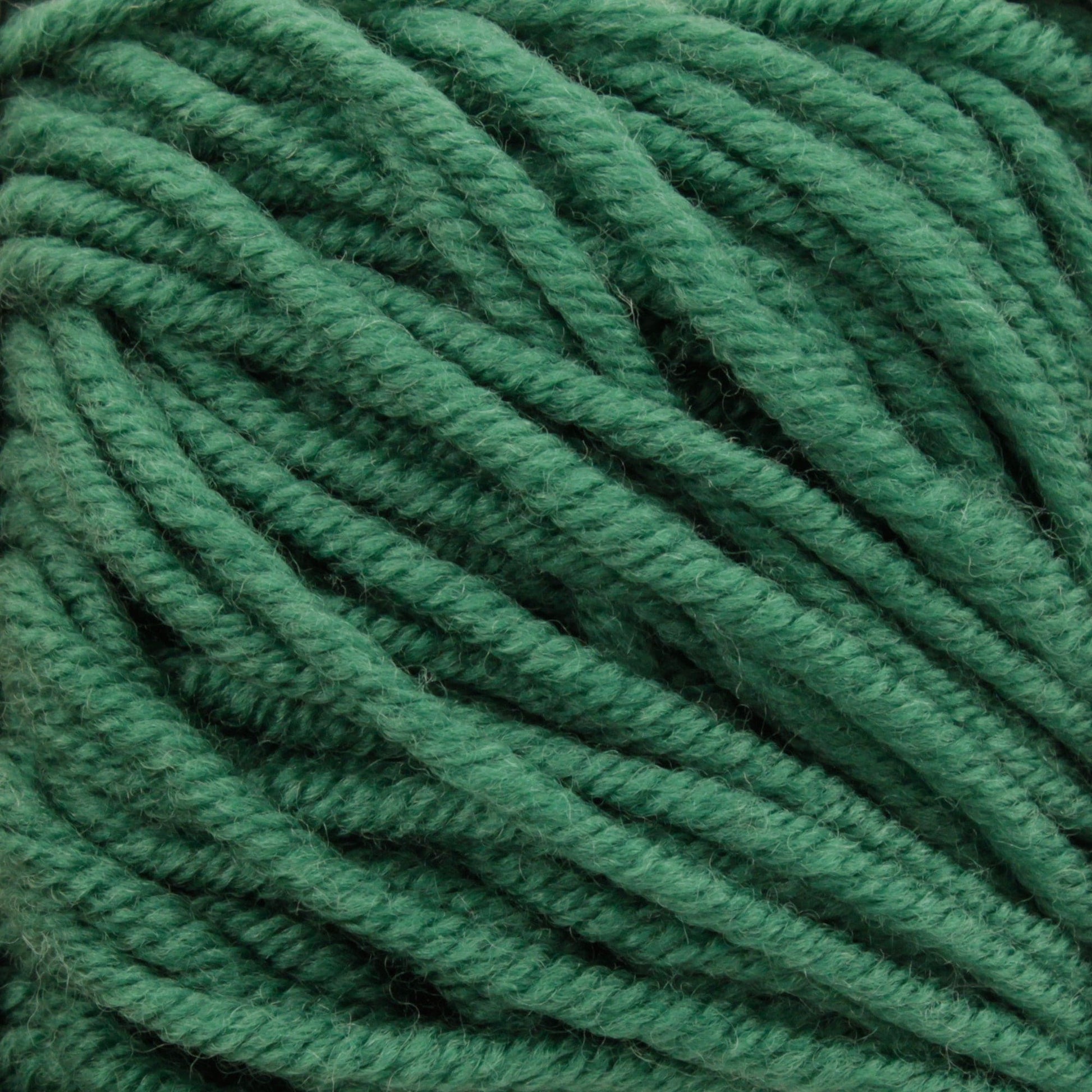 Plymouth Yarn Co. Yarn Dark Green Plymouth Select Worsted Merino Superwash