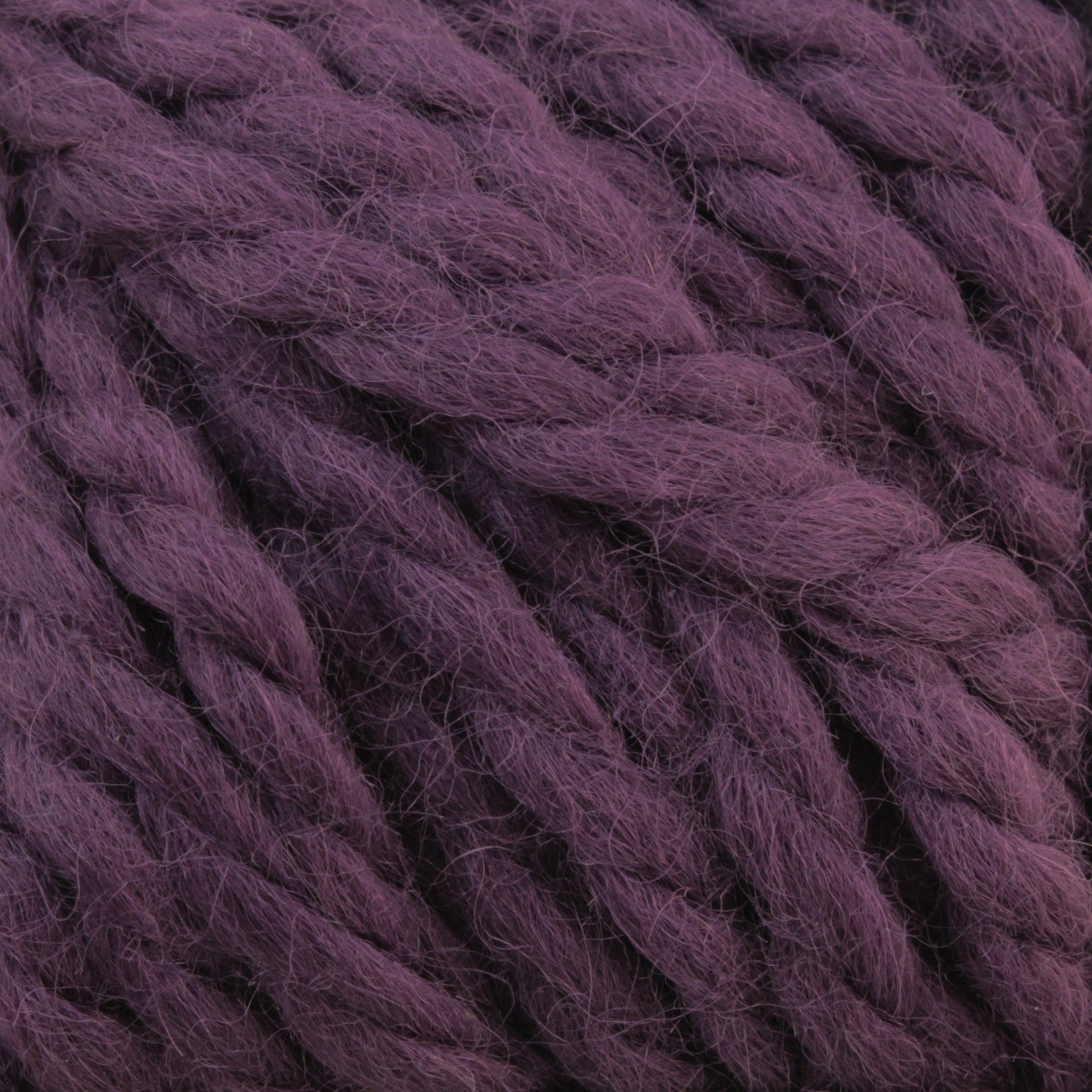 Plymouth Yarn Co. Yarn Grape Baby Alpaca Grande by Plymouth