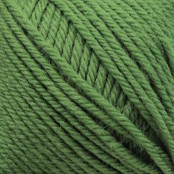 Cascade 220 Superwash Wool Yarn color 2080 (208Treetop)