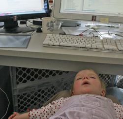 webmaster asleep on the job