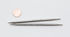 Nova Platina Knitting Needles  4.5" Interchangeable Tip  Size 8 by Knitter's Pride (image A)