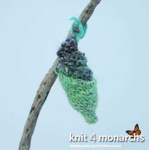 knit-for-monarch
