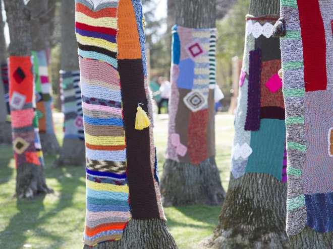 montreal-quebec-may-2-2015-trees-decorated-by-wool-to-c